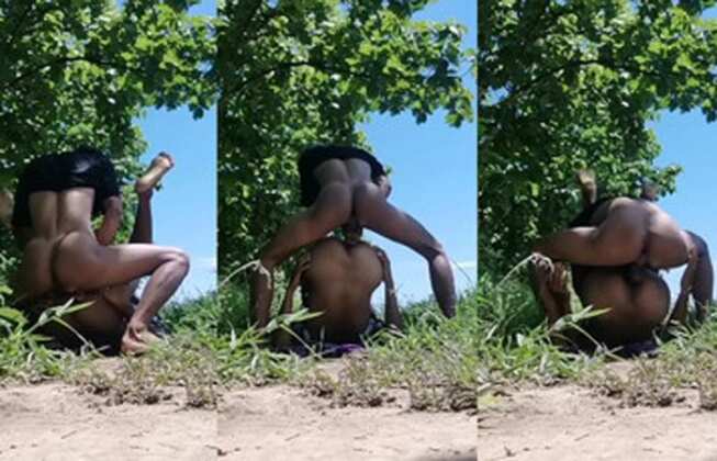 တောထဲက မြန်မာကျားနှစ်ကောင်